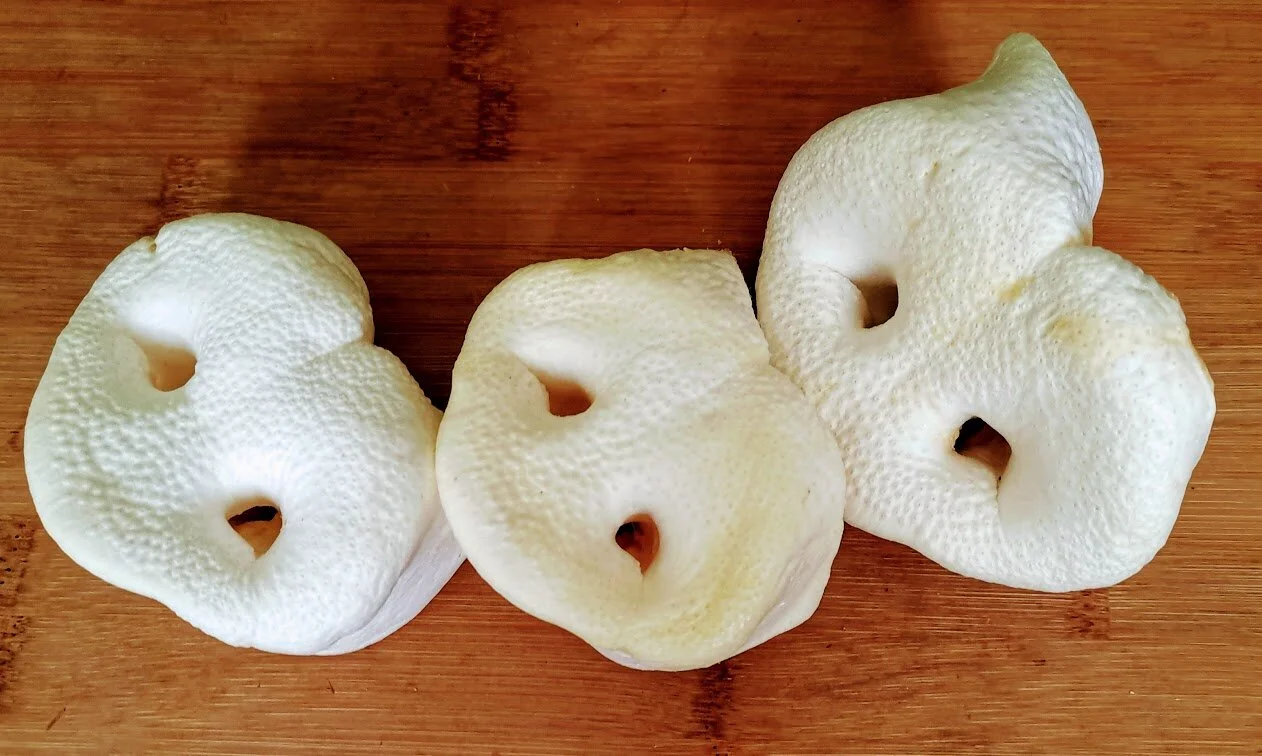 Pig snouts for dogs hotsell